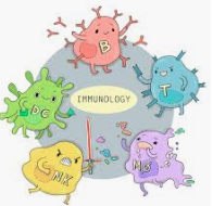 DISEASE ASSOCIATED with IMMUNE SYSTEM Objective Questions
