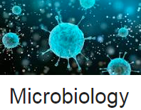 MICROBIOLOGY Objective Questions