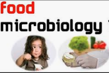 MICROBIOLOGY of FOODS Objective Questions