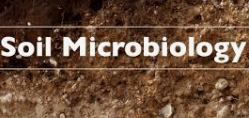 MICROBIOLOGY of SOIL Objective Questions