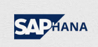 SAP HANA Objective Questions