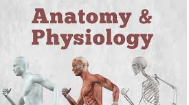 300+ TOP Anatomy and Physiology MCQs Pdf 2021 [Quiz Questions]