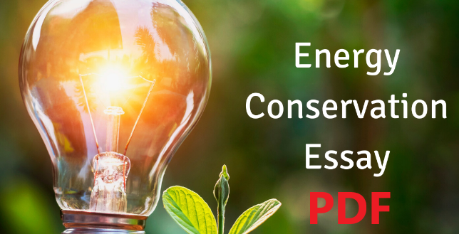 pdf-notes-write-an-essay-on-energy-conservation-2023